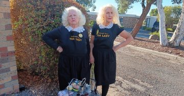'Tea Ladies' join Knitting Nannas for Parliament House protest over gas and coal