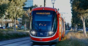Light rail stage 1 numbers add up to a problem for Liberals