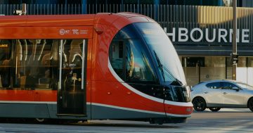 It's too late to change track on light rail, so you might as well jump on the bandwagon