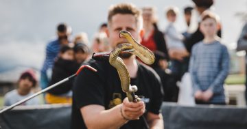 Live Snake Demonstration with Gavin Smith