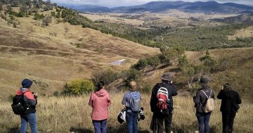 Lace up Canberra, you've got a gorgeous new network of walking tracks to explore