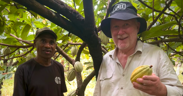 With cocoa prices on the rise, the Junee chocolate factory is looking for suppliers closer to home