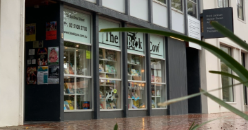 The Book Cow: a space where children can immerse themselves in the world of books