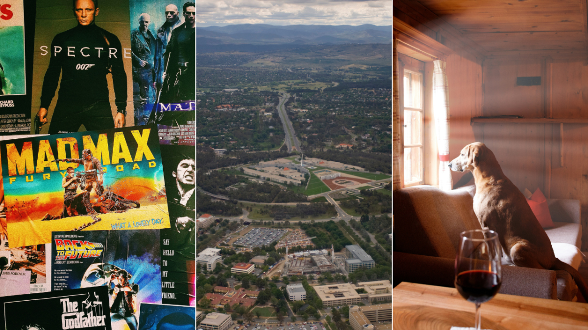 movie posters, Canberra aerial photo, dog looking out window with wine glass