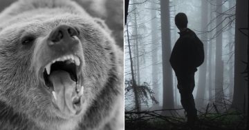 Man or bear? Your answer to this question reveals what you understand about violence against women