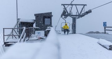 Snow season starts for another year with little snow but keen crowds