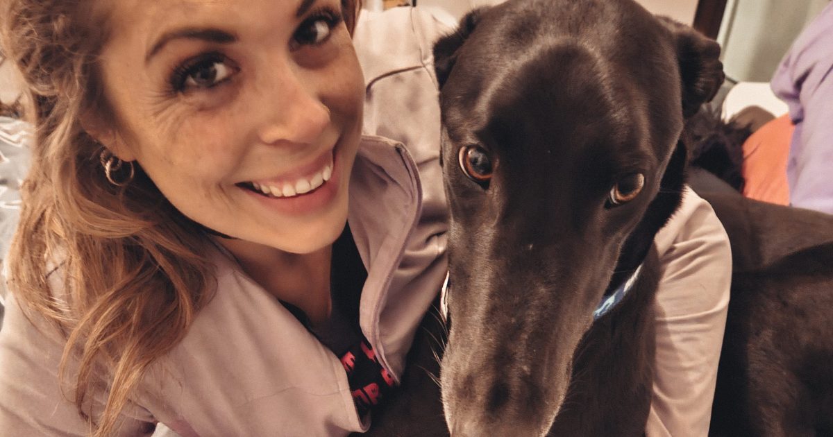 Greyhounds and humans? Dog-gone it, you can’t beat love at first sight | Riotact