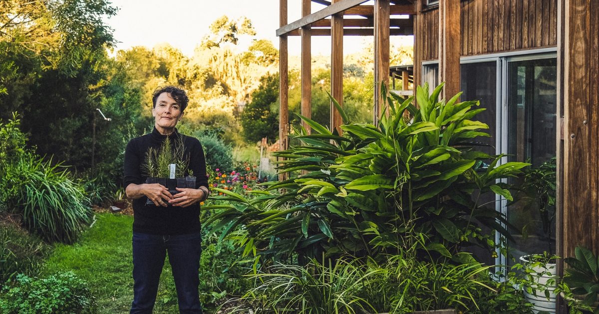 The Japanese gardening method coming to every Canberra suburb | Riotact