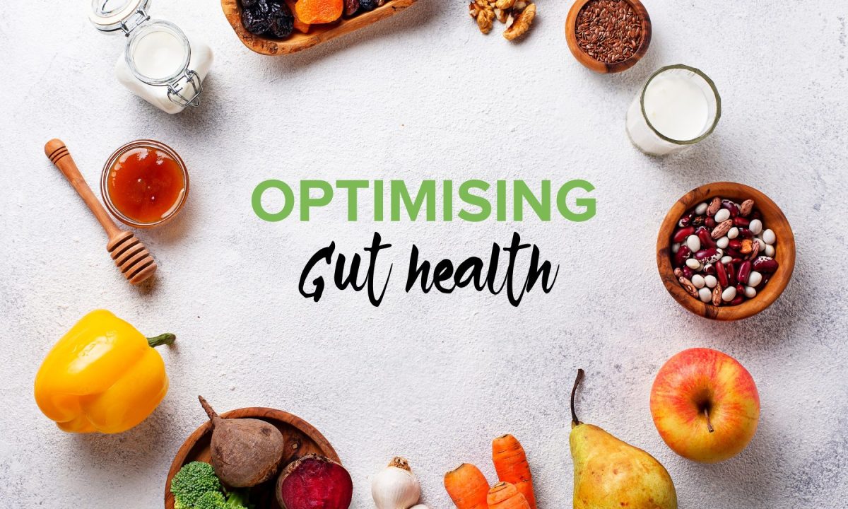 Optimising Gut Health