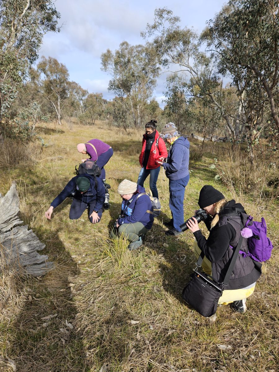 Six people, dressed in warm clothes are gathered around a log holding phones and cameras taking photos of what is in front of them. 