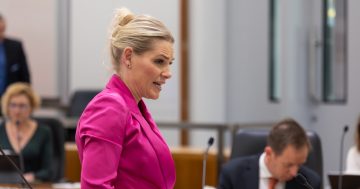 Canberra Liberals introduce new bill to criminalise non-physical forms of domestic violence