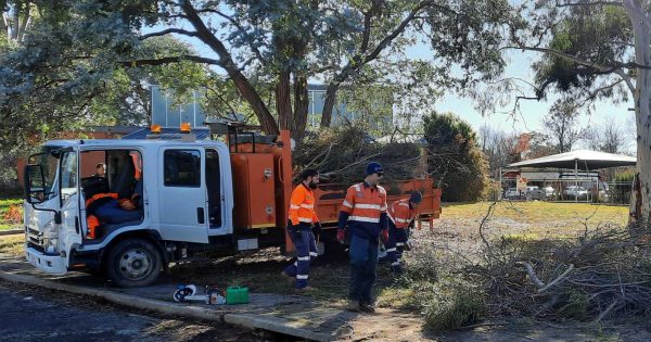 Move to boost City Services maintenance crews heads in the right direction