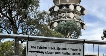 Here's to Telstra Tower, may you rise again to those grand old heights