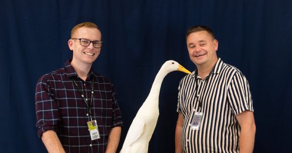 Best of the country's poultry breeders flocking to Goulburn with eyes on a prize