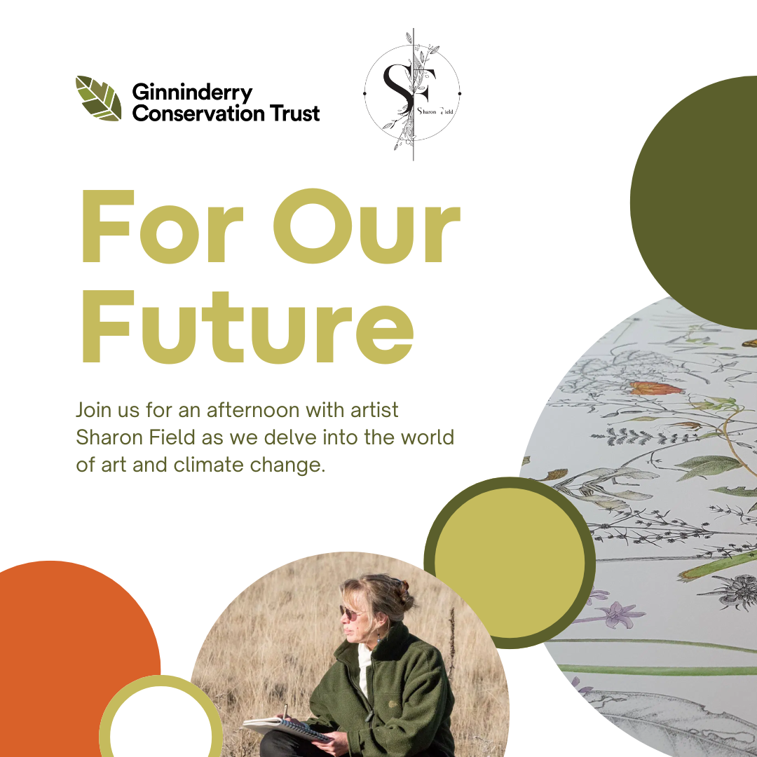 The words "For Our Future" are in a large font slightly to the left, followed by "Join us for an afternoon with artist Sharon Field as we delve into the world of art and climate change". Above the text are the Ginninderry Conservation Trust & Sharon Field’s Logos. Along the bottom and to the right, are circles of various sizes and colours; one has a picture of Sharon drawing in a grassland, and another has an example of her artwork.