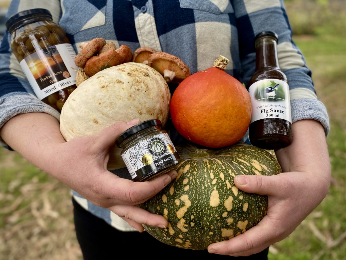 Hands hold pumpkins and jars in front of blue checked shirt.