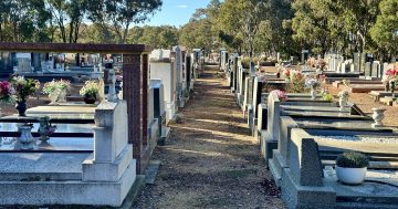 Gungahlin Cemetery has never had an issue with vandalism ... until now