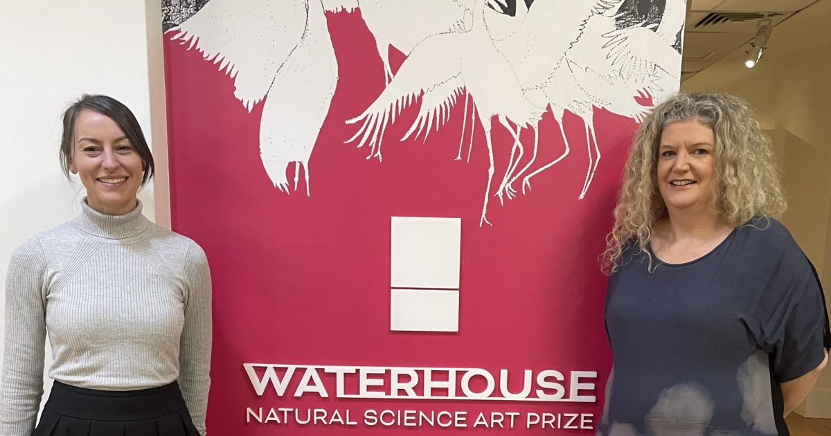 Waterhouse prizewinners draw on Indigenous past and climate crisis future for their art | Riotact
