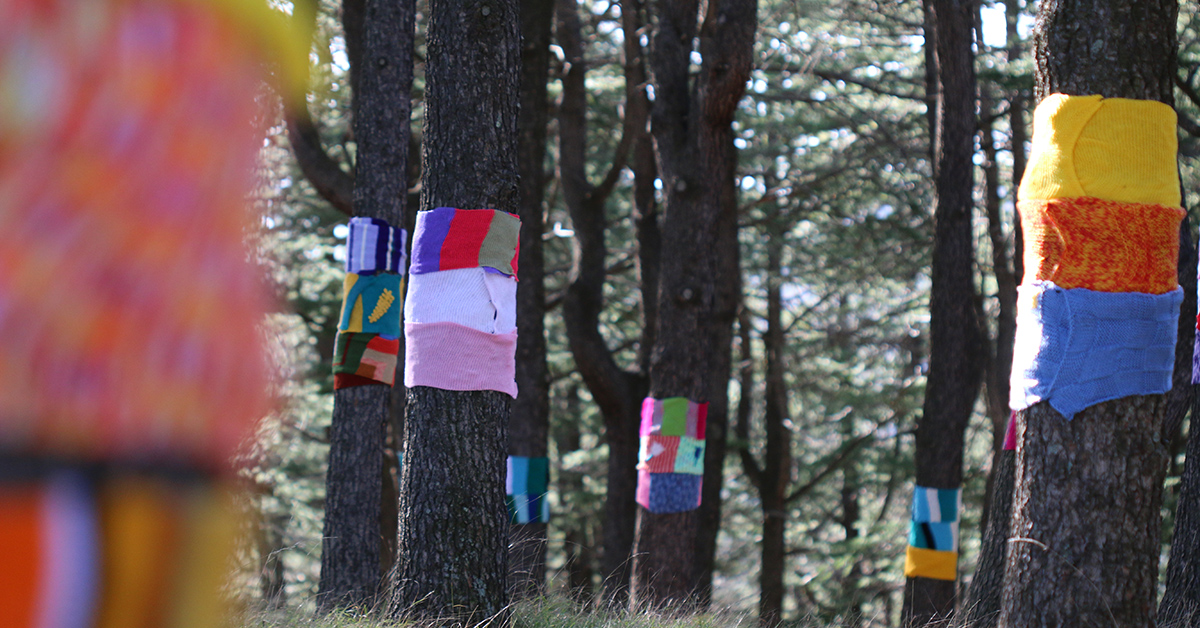 Scarves wrapped around trees at the National Arboretum