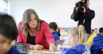 Enrolment figures a warning to government to fix public schools