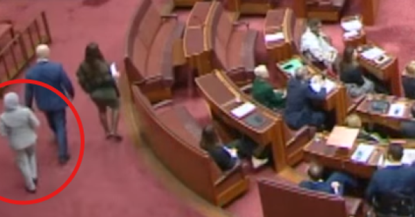 Labor Senator crosses the floor and gets slap on wrist