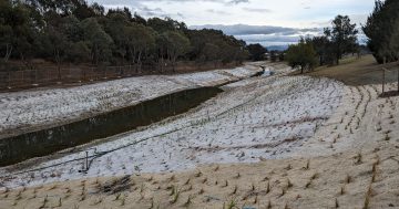 Concrete stormwater channels were a (smelly) mistake - just ask Tuggeranong