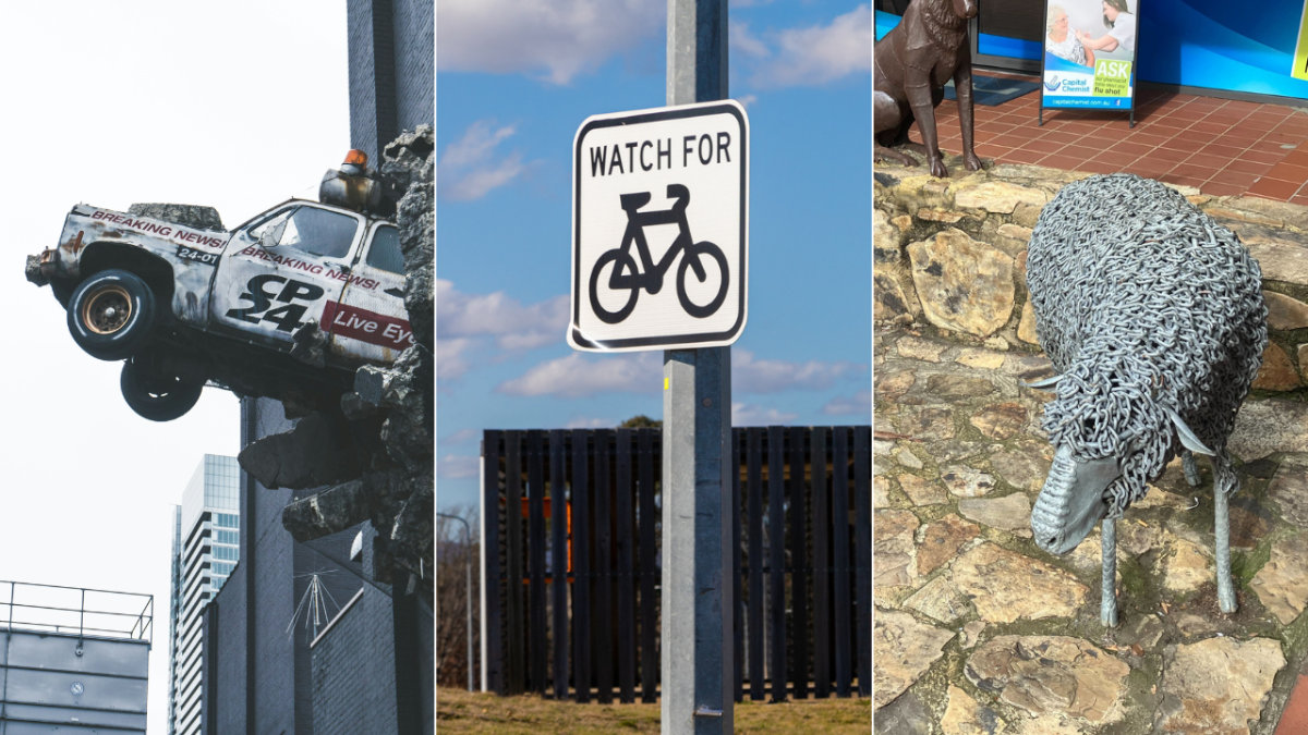 car coming out a building, bike sign, sheep sculpture