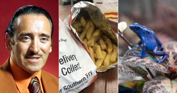 QUIZ: How much is a bag of Kingsley's chips? Plus 9 other questions this week