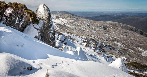 Kosciuszko's damaged ecosystem already recovering as a result of wild horse aerial shooting program, says minister