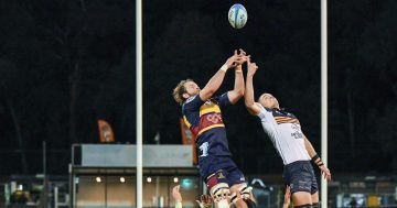 The Brumbies are on the verge of greatness - one mountain at a time