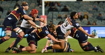 Steve Larkham’s contract extension with the Brumbies was a no-brainer