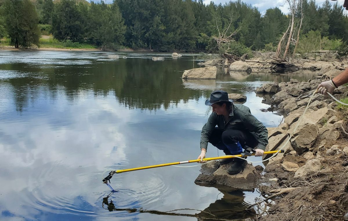 Violet Marriott collecting eDNA samples