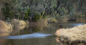 Why this previously 'underdeveloped' Yass River parcel is now buzzing with activity