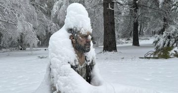 Feeling cold? You will be after seeing these amazing pics from the Snowy Valleys Sculpture Trail
