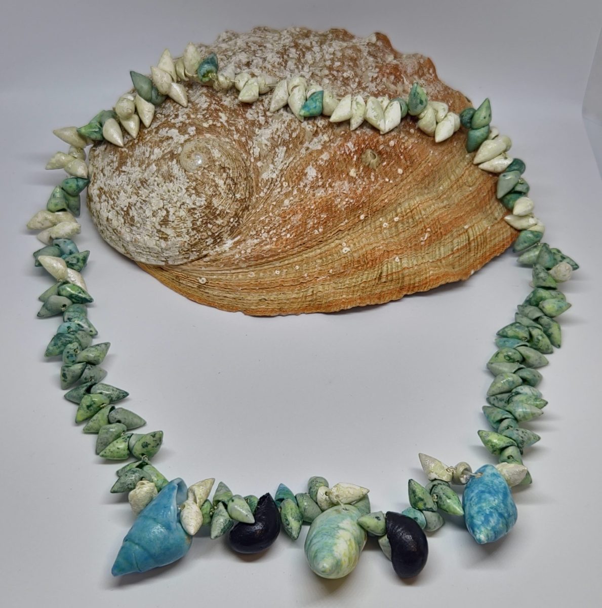 Shell nacklace