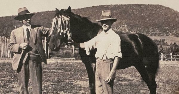 Charles Valley orchards were Camelot for mischievous kids