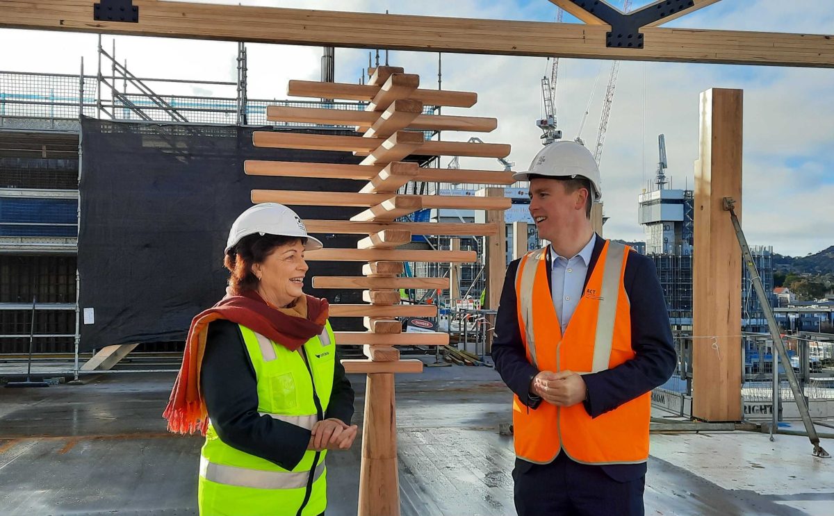 woman and man with symbolic woden tree on building site
