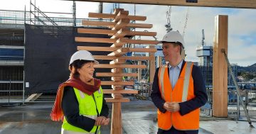 Woden building's top-out a fresh start for CIT, says Steel