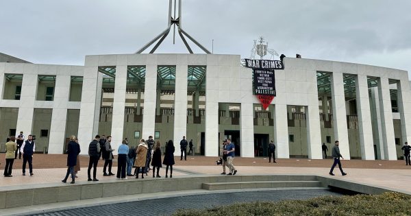 Pro-Palestine protesters who climbed onto Parliament House avoid convictions