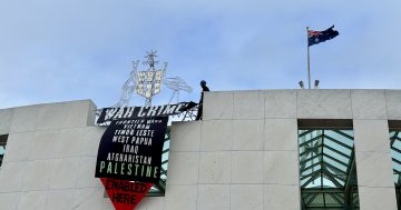 Pro-Palestine protesters arrested after scaling roof of Parliament House