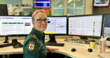 How many accidental triple-zero calls do Canberra's paramedics receive?