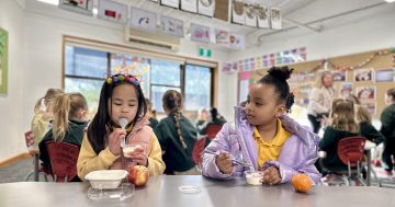 Labor promises to expand school meals program