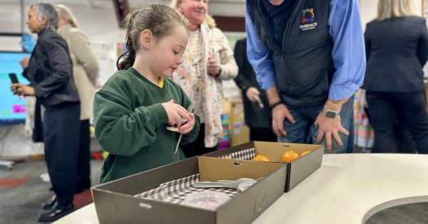 Government trials free breakfast and lunch at five public schools