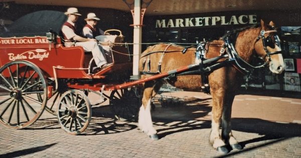 The boy who bolted from Springfield and raced in Sydney