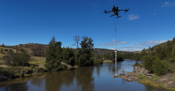 Drone flight in ACT's far north confirms deer threat is alive and growing