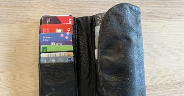 To the road worker who returned my lost wallet - you restored my faith in humanity