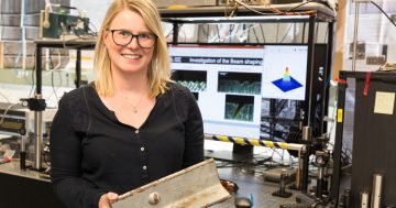 The Sydney Harbour Bridge is rotting from the inside, but these Canberra researchers have a way to save it
