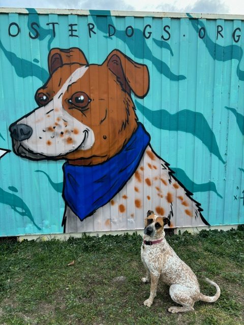 Dog sitting in front of mural of itself