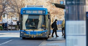 Labor hopes fare-free Fridays are just the ticket to get more Canberrans on public transport