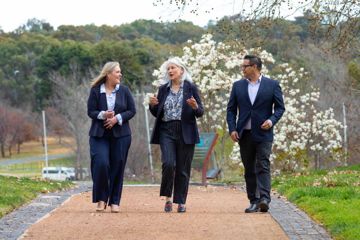 three people walking on a path